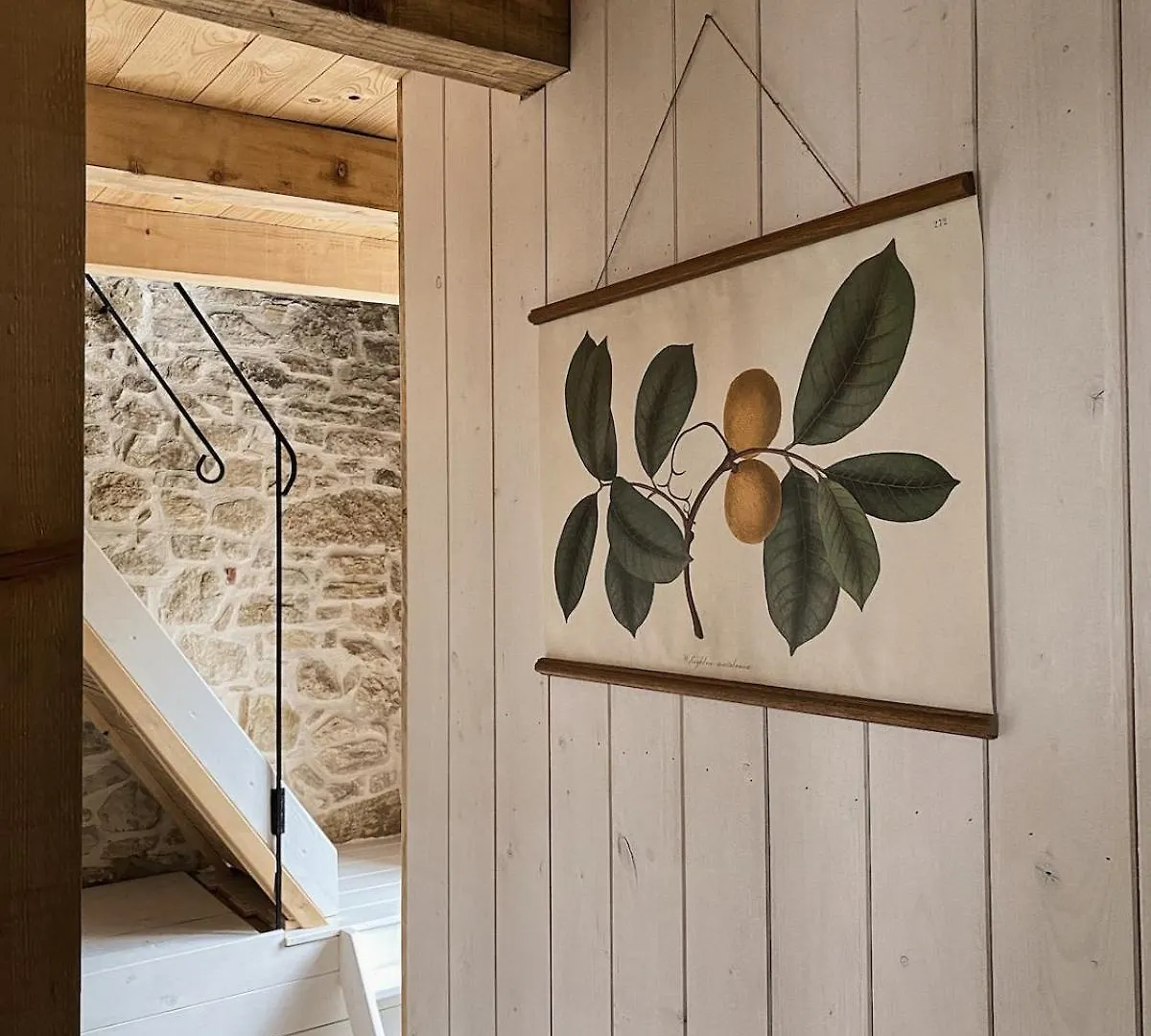 Villa Olivi - A Natural Paradise Near Motovun Brkac