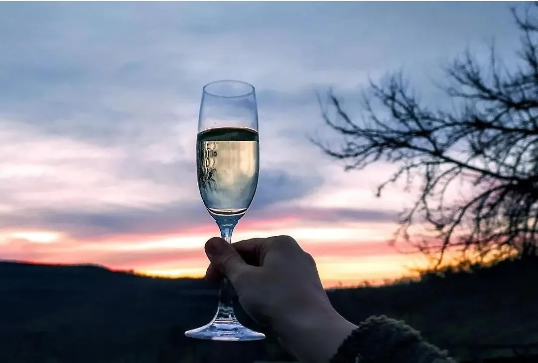 Villa Olivi - A Natural Paradise Near Motovun Brkac