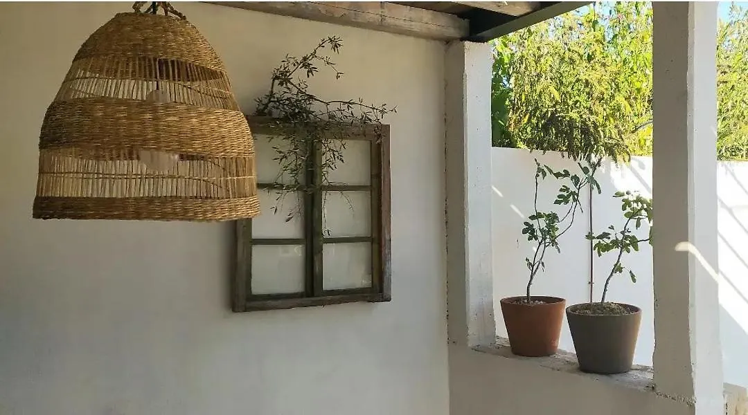 Villa Olivi - A Natural Paradise Near Motovun Brkac