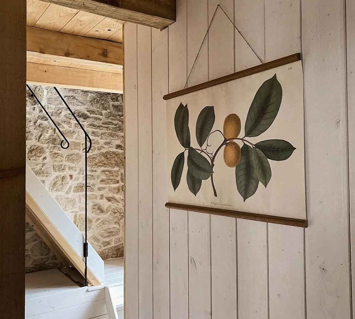 Villa Olivi - A Natural Paradise Near Motovun Brkac