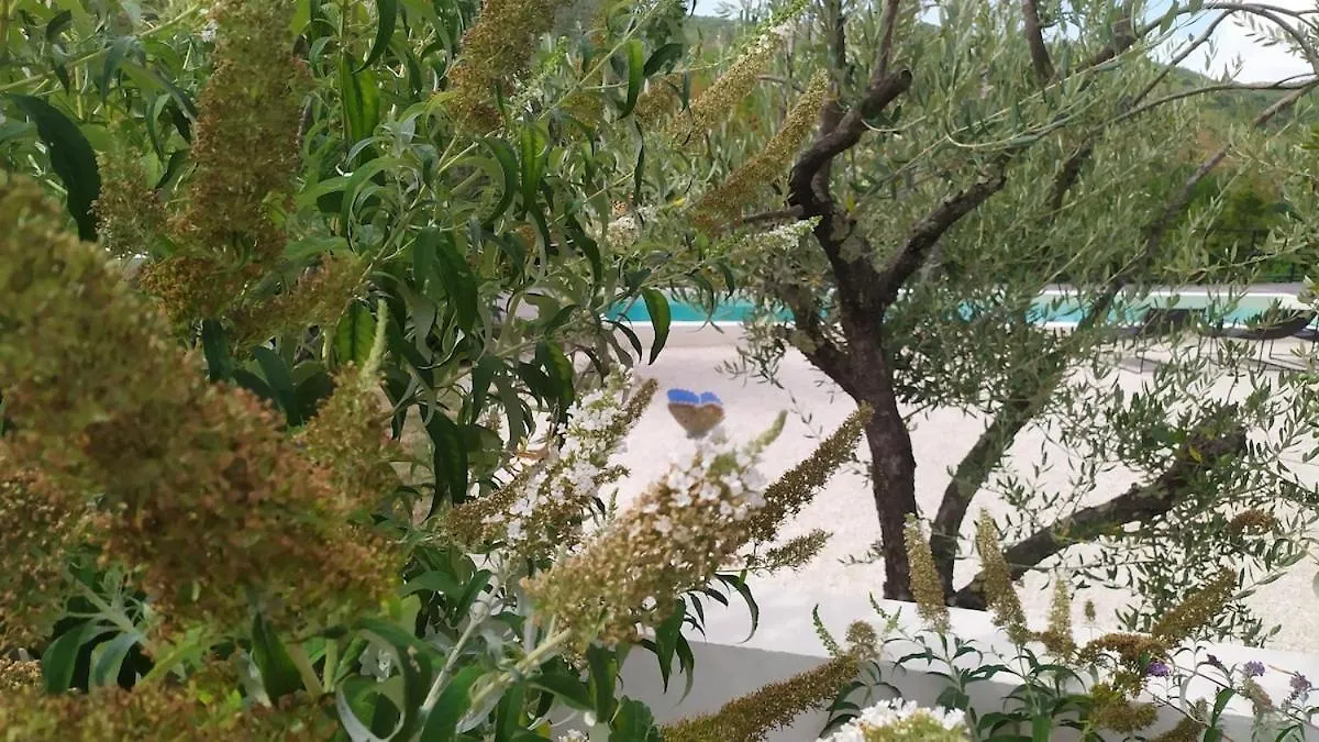Villa Olivi - A Natural Paradise Near Motovun Brkac