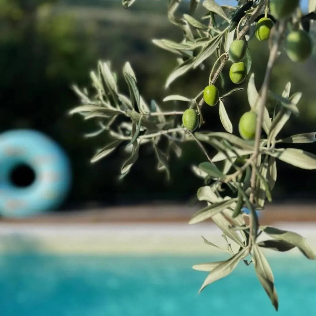 Villa Olivi - A Natural Paradise Near Motovun Brkac 0*,
