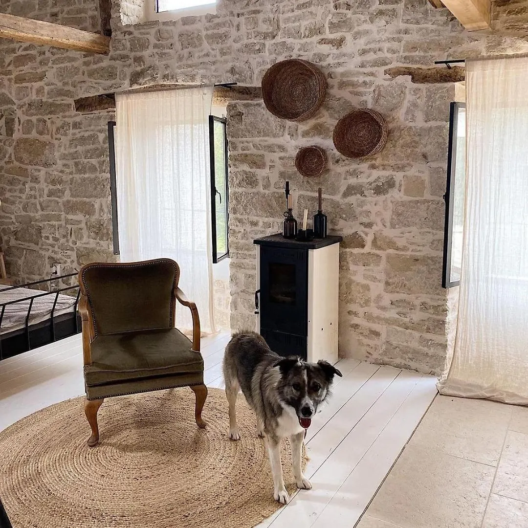 Villa Olivi - A Natural Paradise Near Motovun Brkač Horvátország